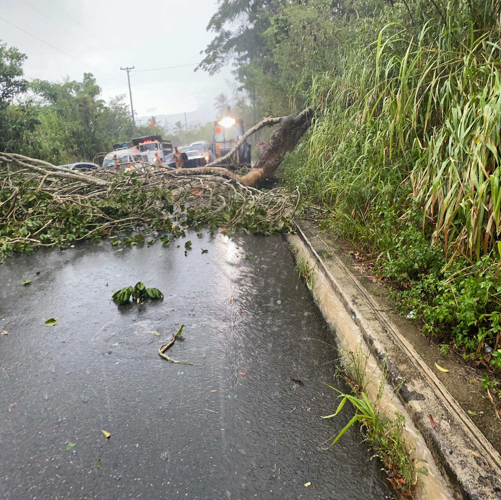 Obstaculizan transito durante protesta contra Barrick en Cotuí