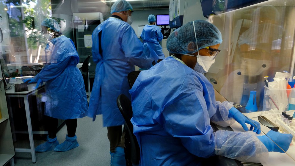 Vacuna contra la tuberculosis podría frenar infección por COVID-19