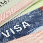 EEUU tiene más de 8 millones de trámites atrasados de visas y otros servicios de inmigración