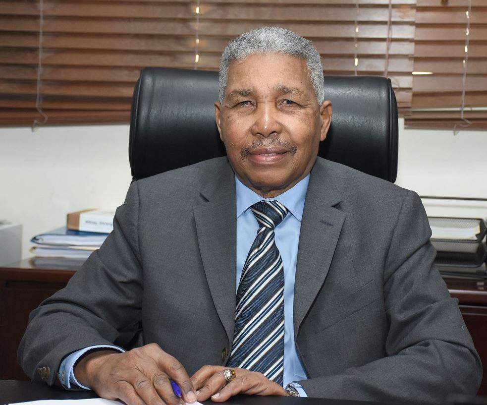 Presidente Abinader destituye administrador de Punta Catalina