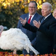 Biden encabezó la amena y distendida ceremonia de presentación nacional del pavo de Acción de Gracias.