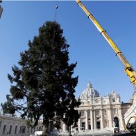 El Vaticano instala un enorme árbol de Navidad en San Pedro