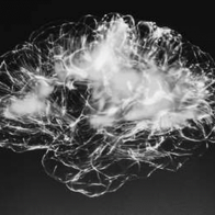 Un hombre descubre que su cerebro está lleno de gusanos desde hace 20 años