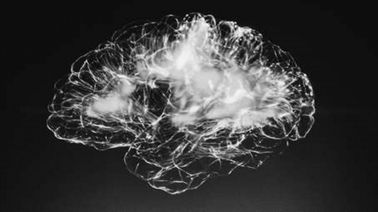Un hombre descubre que su cerebro está lleno de gusanos desde hace 20 años