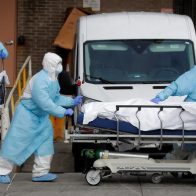 Reportan 184 nuevos contagios de covid-19 y un deceso en las últimas 24 horas