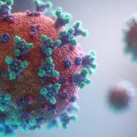Autoridades reportan 6,363 nuevos casos y cinco muertes por coronavirus en RD