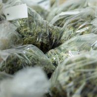 Detienen vehículo por exceso de velocidad en EEUU y hallan 30 kilos marihuana