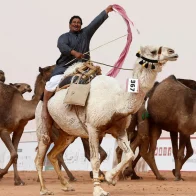 43 Camellos son expulsados de certamen de belleza por usar Botox