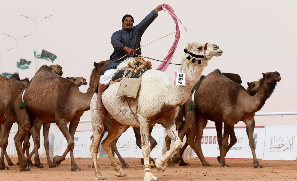 43 Camellos son expulsados de certamen de belleza por usar Botox