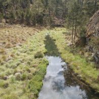 Aprueban protocolo que permite acampar de forma regulada en Valle Nuevo