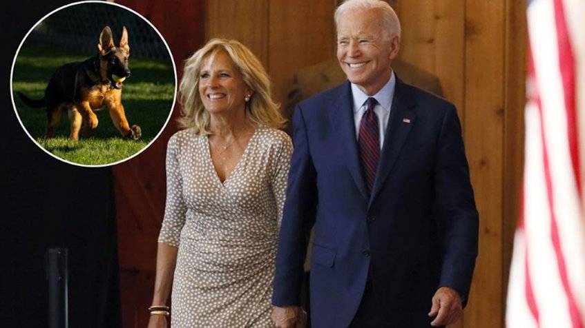 Joe Biden anuncia la llegada de "Commander", la nueva mascota de la Casa Blanca