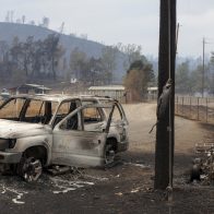 Encuentran carro y posibles restos de joven que desapareció hace 46 años.