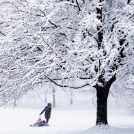 Fuerte tormenta de nieve paraliza Washington durante horas