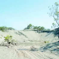 Medio Ambiente se querella contra comerciante que vendía arena de Las Dunas