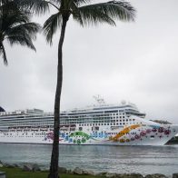 Crucero vuelve a Miami tras dos días en el mar por casos de COVID
