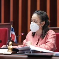 Faride Raful afirman criticaba prestamos cuando no correspondían a las necesidades de RD
