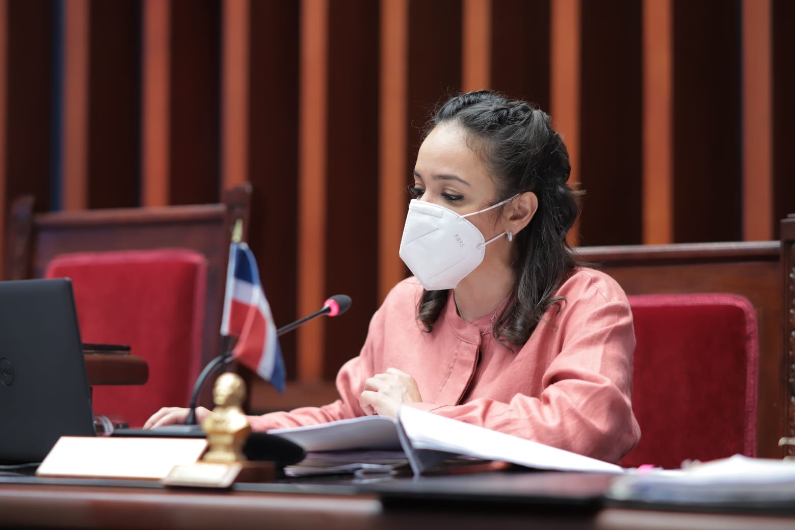 Faride Raful afirman criticaba prestamos cuando no correspondían a las necesidades de RD