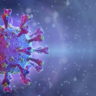 B.1.640.2, la nueva variante del coronavirus ataca en el sur de Francia