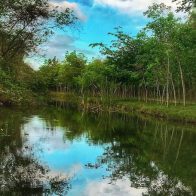 Crean una reserva natural en los humedales de Laguna Prieta