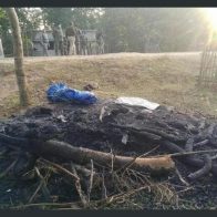 Linchan hombre que cortó árboles en zona sagrada en La India