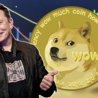 Elon Musk acepta la criptomoneda dogecoin para la compra de mercadotecnia de Tesla