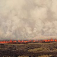 Entra en erupción volcán en las Galápagos, islas donde habitan especies únicas