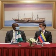 Venezuela profundiza la cooperación energética con Egipto y Nigeria