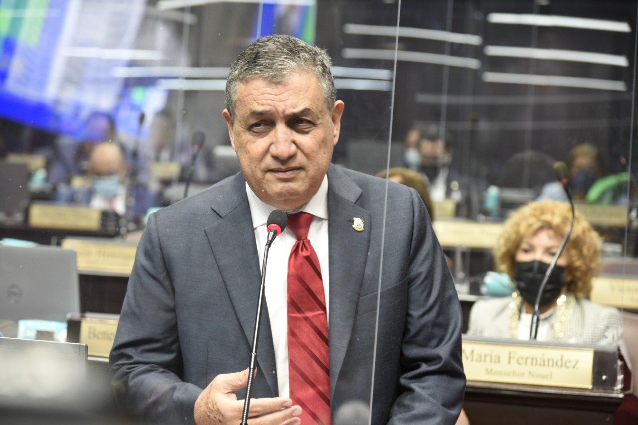 Vocero del PLD en la Cámara de Diputados: "No quisiéramos un discurso vacío"