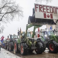 Canadá. -Manifestantes en contra de los mandatos de vacuna y las restricciones por el COVID-19 protestaron el sábado en diversas ciudades de Canadá en solidaridad con las movilizaciones de una semana en la capital nacional. Las autoridades de Ottawa y muchas capitales provinciales trabajaban para garantizar que las protestas contra las medidas de salud pública relacionadas con la pandemia se mantuvieran pacíficas. Para el mediodía del sábado en Ottawa, miles de inconformes se congregaron cerca de fogatas en el jardín cubierto de nieve frente a la Colina del Parlamento. Los participantes prepararon “hot dogs” y repartieron bocadillos horneados bajo lonas, mientras dos hombres a caballo recorrían la ciudad, uno de ellos portando una bandera en apoyo al exmandatario estadounidense Donald Trump. La “caravana de camiones de la libertad” ha atraído el apoyo de Trump y otros republicanos.