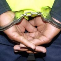 San Martín extradita a Puerto Rico al narcotraficante dominicano “Papín”