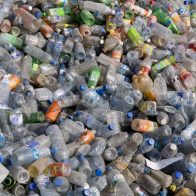 Ecologistas denuncian plástico reciclado representa sólo el 17 % de las botellas