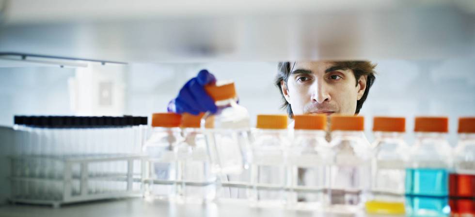 Pfizer y Bayer cesan sus inversiones en Rusia