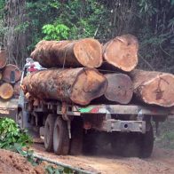 Indígenas y menonitas enfrentados por la deforestación en la Amazonía peruana