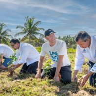 Coldplay reforesta