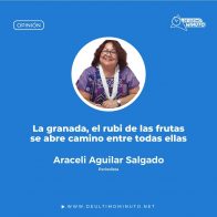La granada, el rubi de las frutas se abre camino entre todas ellas