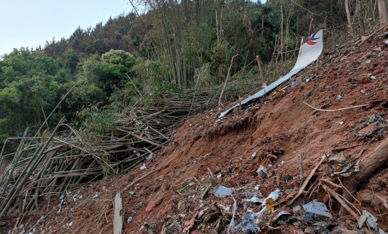 Descartan la presencia de componentes explosivos en el sitio del accidente del Boeing 737 en China