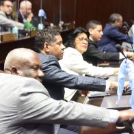 Diputados aprueban en primera lectura creación del Instituto Nacional del Coco