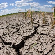 RD prepara un anteproyecto de ley de cambio climático