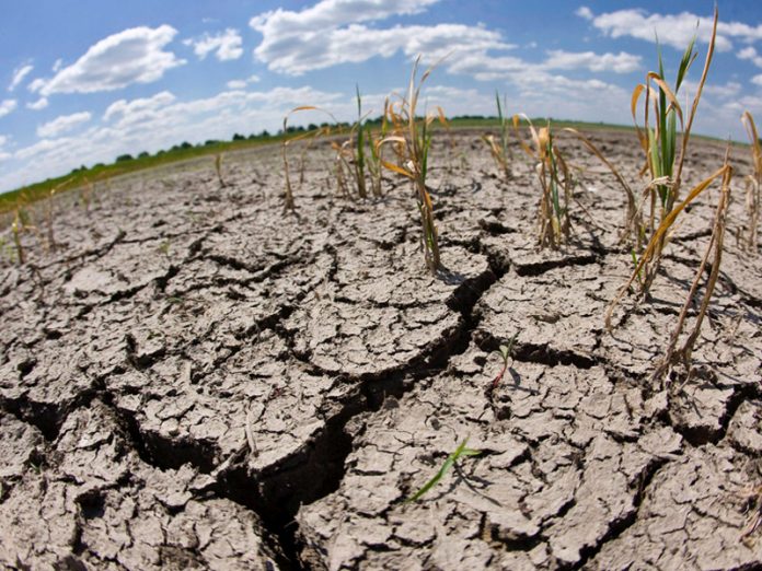 RD prepara un anteproyecto de ley de cambio climático