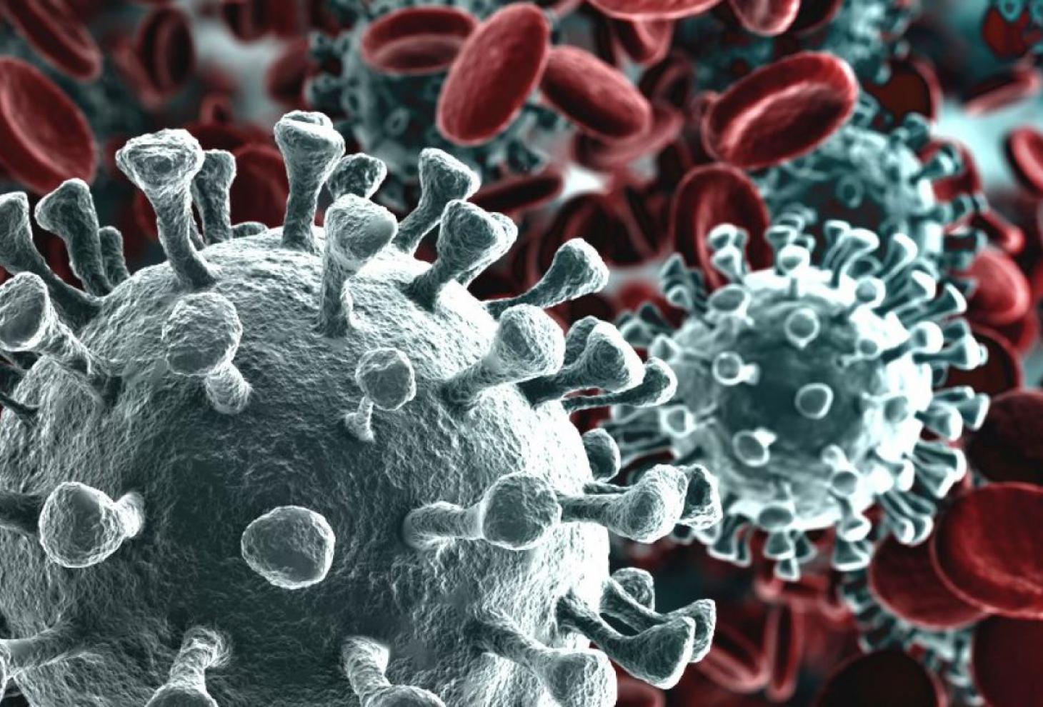 Salud Pública notifica 92 contagios de coronavirus