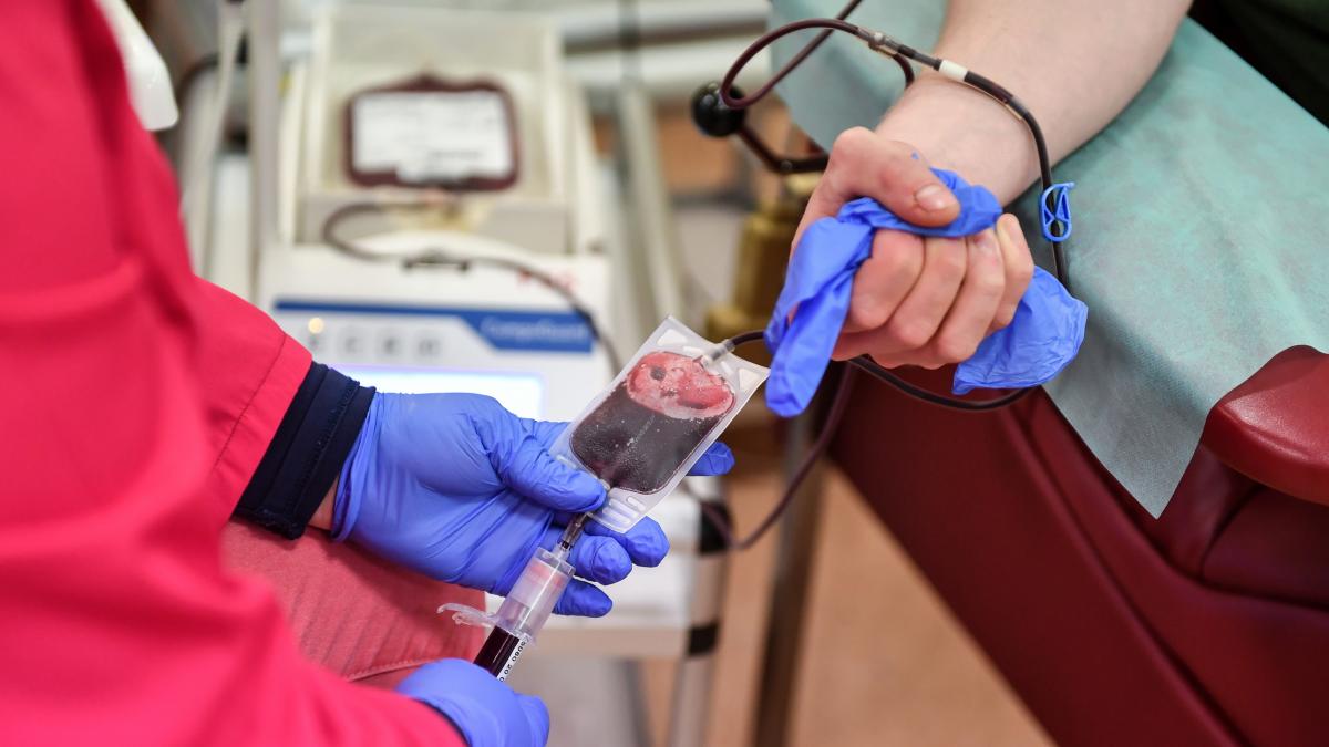 Solicitan donantes de sangre y plaquetas para Abrailyn Gabriel Carvajal