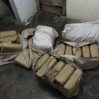 Decomisan 250 libras de marihuana en Elías Piña; eran transportadas en caballos