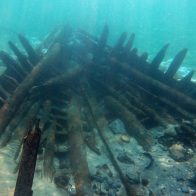 Descubren esqueletos de ratas hallados en un barco que naufragó hace 1,400 años