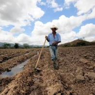 Estudio revela que el suelo de América es clave para mitigar cambio climático