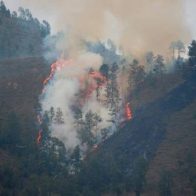 Reportan incendio en Constanza; bomberos trabajan para combatirlo