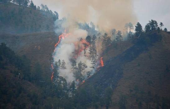 Reportan incendio en Constanza; bomberos trabajan para combatirlo