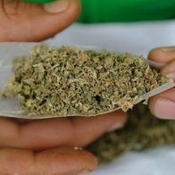 cannabis puede alterar la experiencia sexual