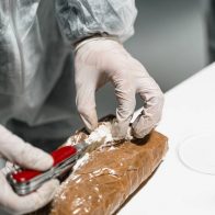 Incautan casi dos toneladas de cocaína destinadas a Países Bajos