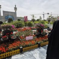 ¡Salió caro! Arrestan a tres mujeres por bailar dentro de cementerio en Irán