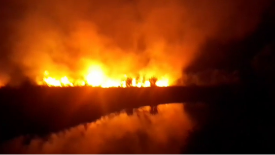 Reportan incendio en laguna de Cabarete, Puerto Plata